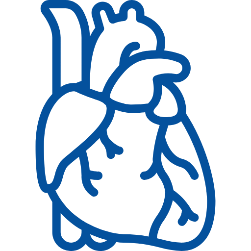 Cardiac/Vascular